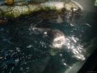 thumbs/20120921T144106_Japan.jpg