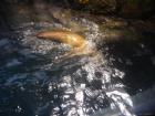 thumbs/20120921T144428_Japan.jpg