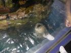 thumbs/20120921T144434_Japan.jpg