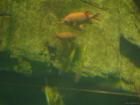 thumbs/20120921T144544_Japan.jpg