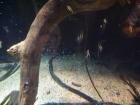 thumbs/20120921T144608_Japan.jpg