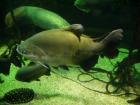 thumbs/20120921T144638_Japan.jpg