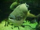 thumbs/20120921T144720_Japan.jpg