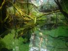 thumbs/20120921T144740_Japan.jpg