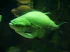 thumbs/20120921T144748_Japan.jpg