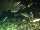 thumbs/20120921T144820_Japan.jpg