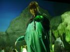 thumbs/20120921T144924_Japan.jpg