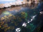 thumbs/20120921T145156_Japan.jpg