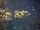 thumbs/20120921T145216_Japan.jpg