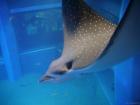 thumbs/20120921T145240_Japan.jpg