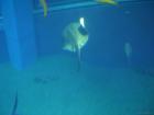 thumbs/20120921T145256_Japan.jpg