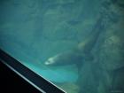 thumbs/20120921T150040_Japan.jpg