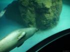 thumbs/20120921T150436_Japan.jpg