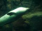 thumbs/20120921T150458_Japan.jpg