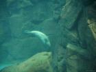 thumbs/20120921T150500_Japan.jpg