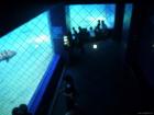 thumbs/20120921T150526_Japan.jpg