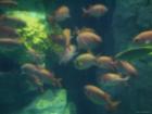 thumbs/20120921T150610_Japan.jpg