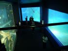 thumbs/20120921T150930_Japan.jpg