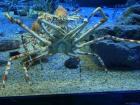 thumbs/20120921T151444_Japan.jpg