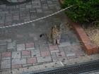 thumbs/20120922T091426_Japan.jpg