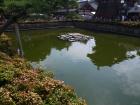 thumbs/20120922T100920_Japan.jpg