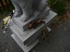 thumbs/20120922T131548_Japan.jpg