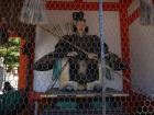 thumbs/20120927T125854_Japan.jpg