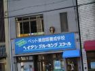 thumbs/20120927T164212_Japan.jpg