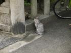 thumbs/20120929T094124_Japan.jpg