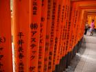 thumbs/20120929T103204_Japan.jpg