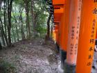 thumbs/20120929T104930_Japan.jpg