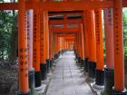 thumbs/20120929T105034_Japan.jpg