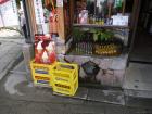 thumbs/20120929T112620_Japan.jpg