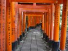 thumbs/20120929T113454_Japan.jpg