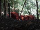 thumbs/20120929T113636_Japan.jpg