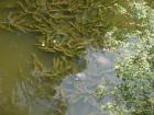 thumbs/20120929T113716_Japan.jpg