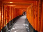 thumbs/20120929T114716_Japan.jpg