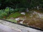 thumbs/20120929T134806_Japan.jpg