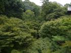 thumbs/20120929T135832_Japan.jpg