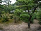 thumbs/20120929T151758_Japan.jpg