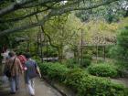 thumbs/20120930T103450_Japan.jpg