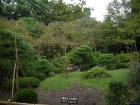 thumbs/20120930T103452_Japan.jpg