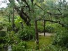 thumbs/20120930T104154_Japan.jpg