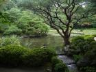 thumbs/20120930T104246_Japan.jpg