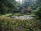 thumbs/20120930T104326_Japan.jpg