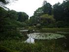 thumbs/20120930T104556_Japan.jpg
