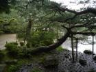 thumbs/20120930T105312_Japan.jpg