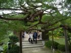 thumbs/20120930T110942_Japan.jpg