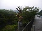 thumbs/20120930T112726_Japan.jpg