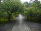 thumbs/20120930T120448_Japan.jpg